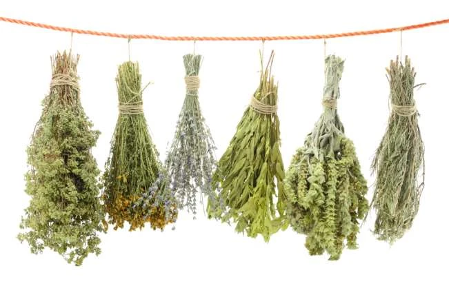 Varietà di erbe aromatiche essiccate, erbe e aromi disidratati spezie James 1599