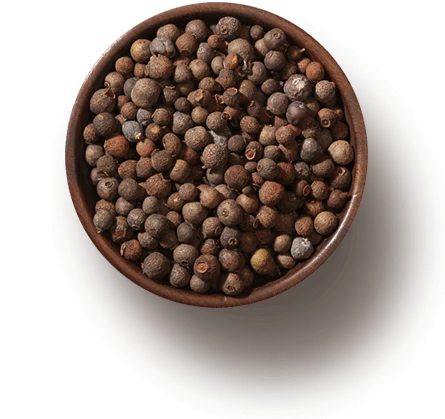 foto vaso pepe pimento produttore spezie spezie James 1599